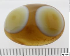 Foto von Quarz (Chalcedon, Achat) (NHMW-MIN-Ay794)